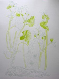 1404Progress1