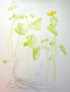 1404Progress2