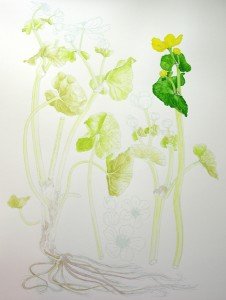 1404Progress3