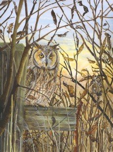 Winter Leaves at Wicken Fen, Long eared owl. Now SOLD