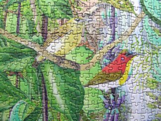 Puzzles and Games