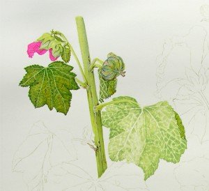 1304Progress1a