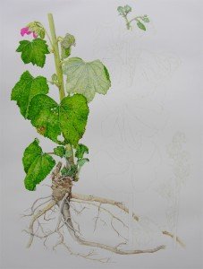 1304Progress4