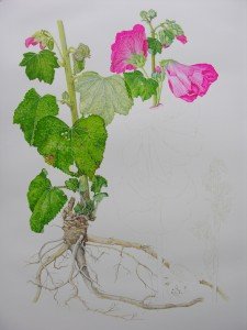 1304Progress5