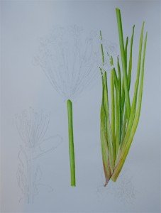 1305Progress1Web