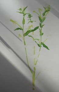 1306Progress6Web