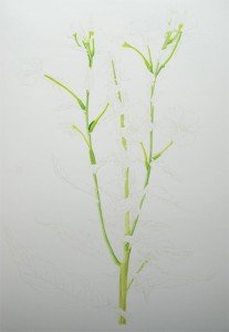 1306ProgressWeb2