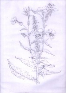 1306Web1