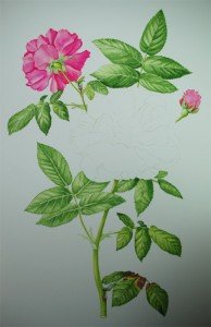 1307Progress10Web