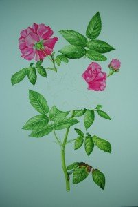 1307Progress11Web