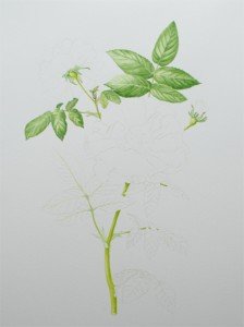 1307Progress3Web