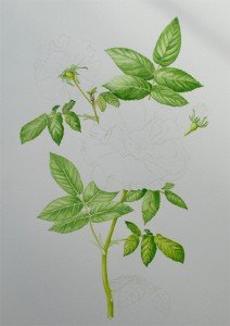 1307Progress5Web