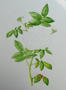 1307Progress6Web