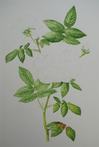 1307Progress7Web