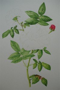 1307Progress8