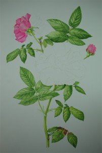 1307Progress9Web