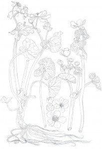 1404ProgressSketch