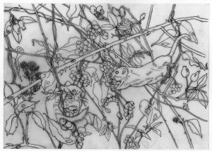 1508DormouseSketchWEB