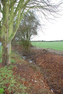 Ditch2