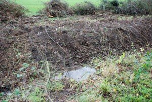 Ditch4