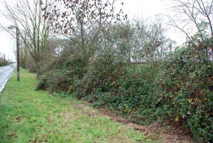 Ditch6