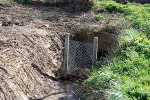 Ditchhedgegone12
