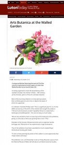 Luton Today Website Report