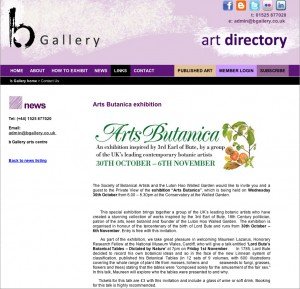 ScreenShotBGalleryWeb