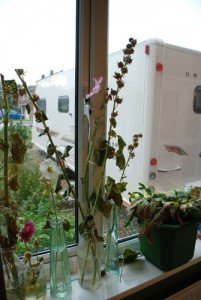 Windowledge1