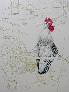 1516: An Old Cock, in a Tree, at Woodbridge (Suffolk). Progress picture