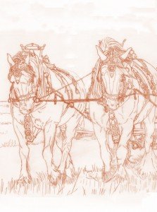 1517 The Art of Ploughing  1 (Sepia print for Box Canvas and Cards)