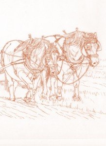 1518 The Art of Ploughing 2 (Sepia print for Box Canvas and Cards)