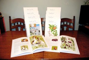 A Glimpse of What is Inside the Books