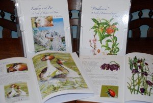 A4 Hardback Coffee Table Books: Petalacious/Feather and Fur