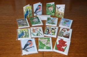 Notelets: 6 cards in a pack with envelopes - for your special little message