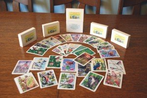 Snap and Name the Bird Educational Card Game for 5 to 12 year olds