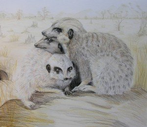 MEERHUGweb
