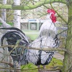 Artist Code 1516. 'An Old Cock in a Tree at Woodbridge' (Suffolk).