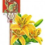 A Milky Yellow Lily was part of this design (0812)