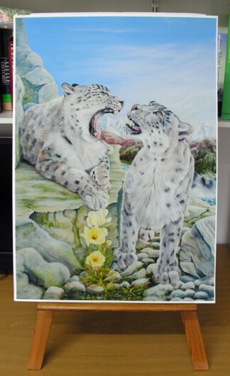 1406 "Snooky Snow Leopard" (and HImalayan Poppy) Print 6/500