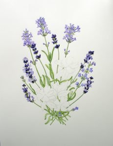 1607 Progress Lavender leaves added