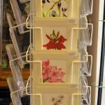 a5mountedcards