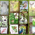 boxcanvases