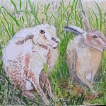 1509 Progress: two one-eyed hares, and a bit more undercoat