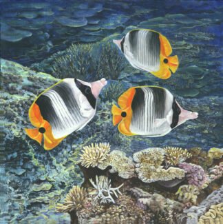 1910 "Three's a Crowd, Sir" (Butterfly Fish) Original Acrylic Box Canvas 16" x 16"