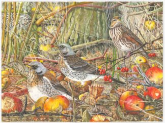 LIMITED EDITION FINE ART PRINT 1604 Three New Blades (Fieldfares & Redwing)