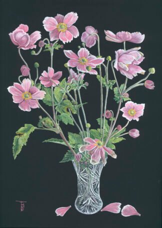 LIMITED EDITION FINE ART PRINT 2013 Three Plucked Petals (Japanese anemones)