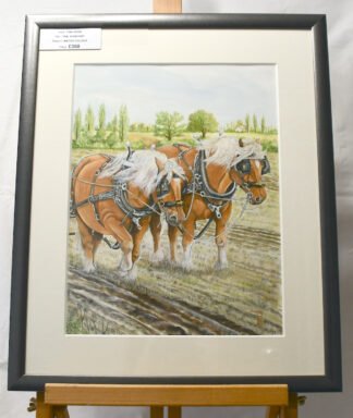 1518 The Punches (Suffolk Punch heavy horses) Original Water colour (12" x 16")