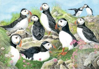 2207 Puffins and Thrift (“Fratercula arctica Antics”) Original Water colour (14" x 20")