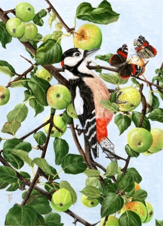 NETTIE'S NATURE PUZZLES: Red Admirals and "Woody" (Great spotted woodpecker)1000 piece